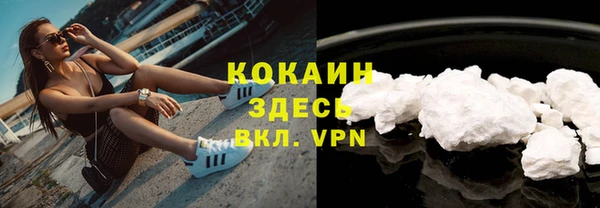 гашик Богородицк