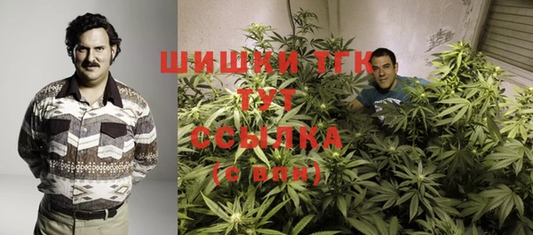 гашик Богородицк