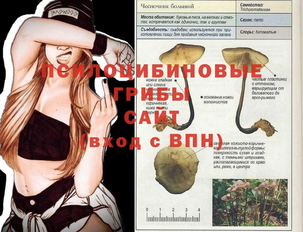 крисы Богданович